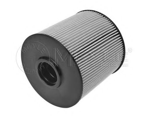 filtru combustibil 1