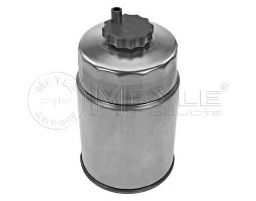 filtru combustibil 1