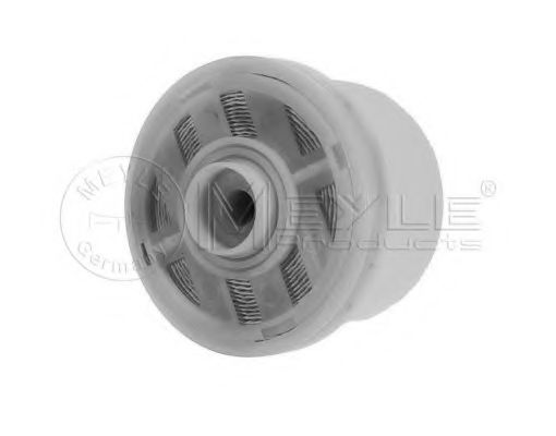 filtru combustibil 1
