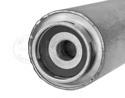 filtru combustibil 1