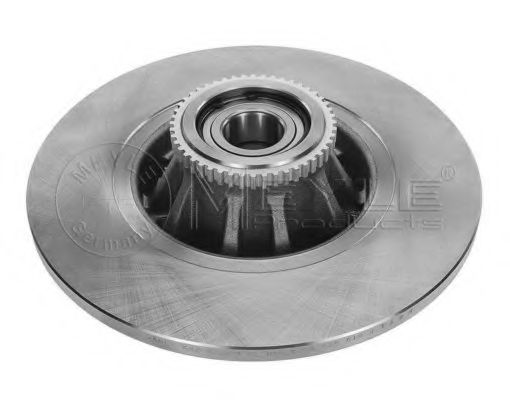 Disc frana 1