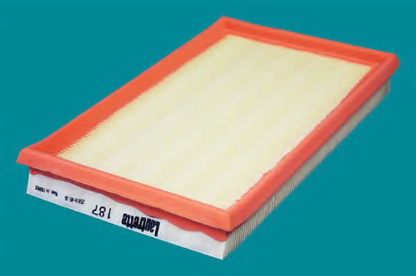 Filtru aer 1