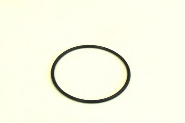 filtru combustibil 2