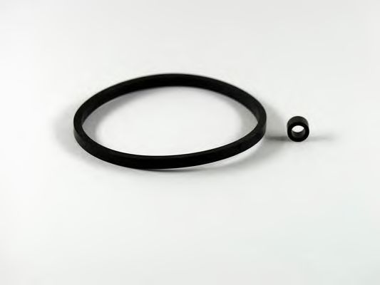filtru combustibil 1