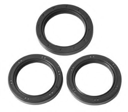 Set pompa apa + curea dintata 1
