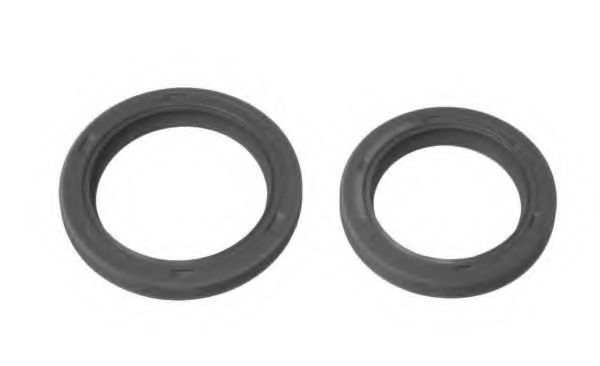 Set pompa apa + curea dintata 1