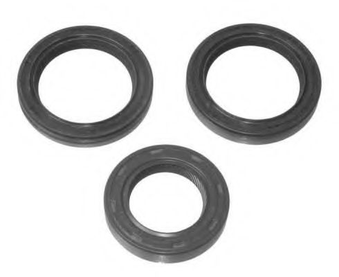 Set pompa apa + curea dintata 1
