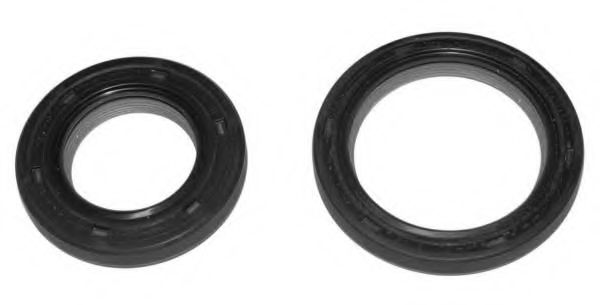 Set pompa apa + curea dintata 1