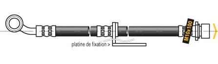 Furtun frana