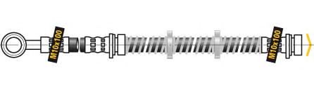 Furtun frana