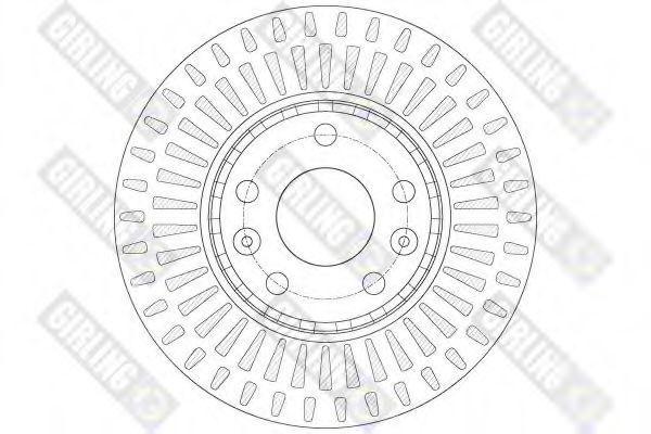 Disc frana 1